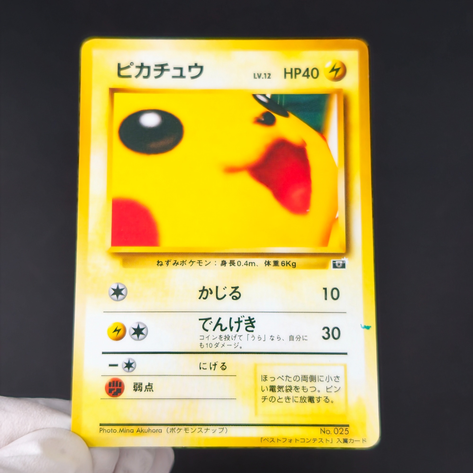 10PCS Pokemon Vintage Boy Bulb - Retro Gaming Pokemon review and price