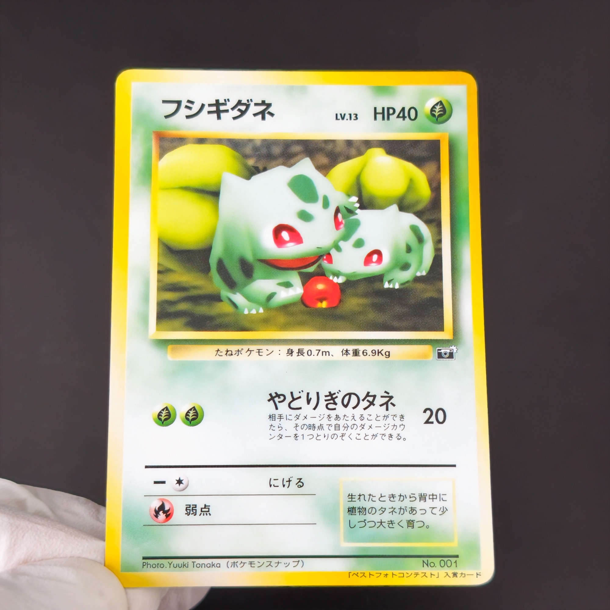 10PCS Pokemon Vintage Boy Bulb - Retro Gaming Pokemon review and price